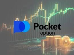 Understanding Cabinet Pocket Option A Comprehensive Guide Understanding Cabinet Pocket Option A Comprehensive Guide