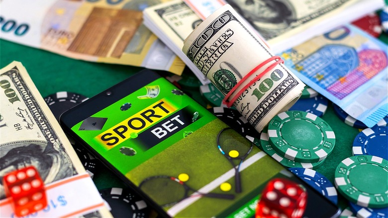 What to Look for in a Betting Platform What to Look for in a Betting Platform