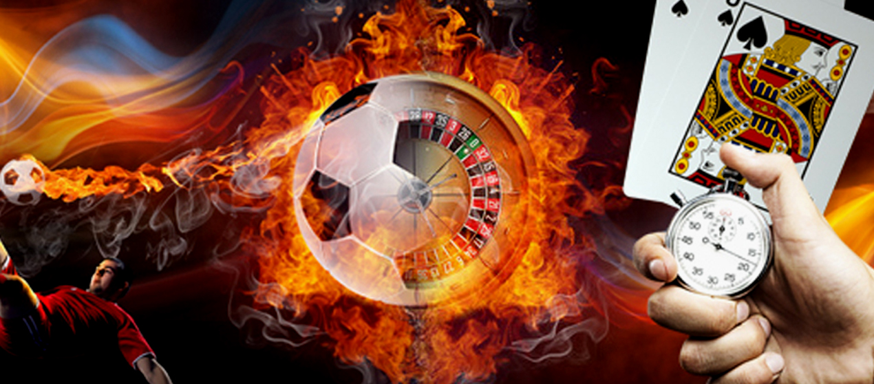What to Look for in a Betting Platform What to Look for in a Betting Platform
