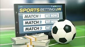 Exploring tucheze bet A Guide to Online Betting Success