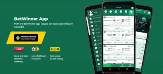 The Ultimate Guide to BetWinner Egypt